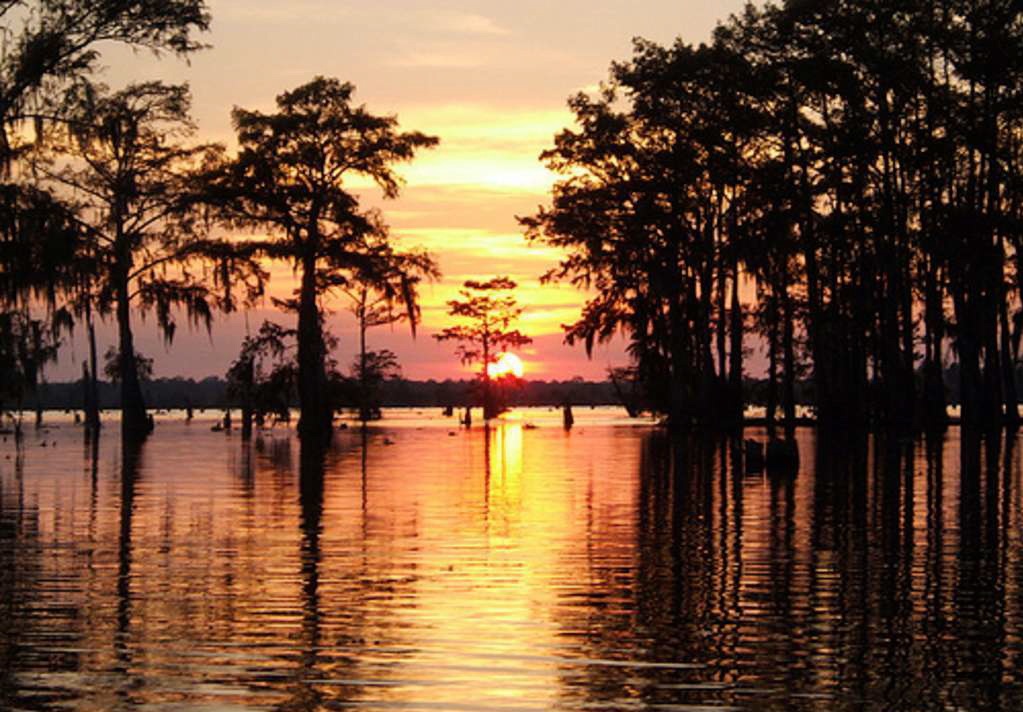 atchafalaya sunset